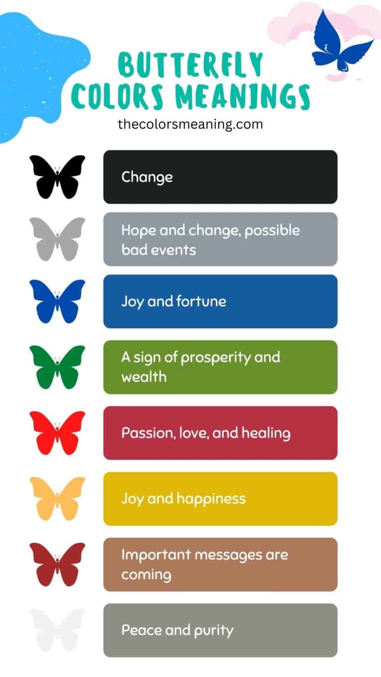 Butterfly Colors Meanings and Symbolism TheColorsMeaning