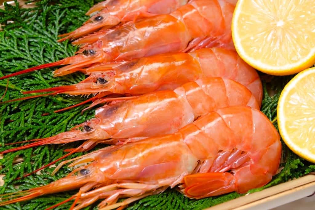 Argentine Pink Shrimps