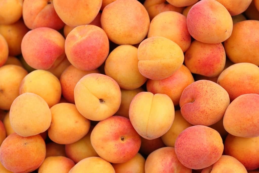 Apricot fruits or apricots