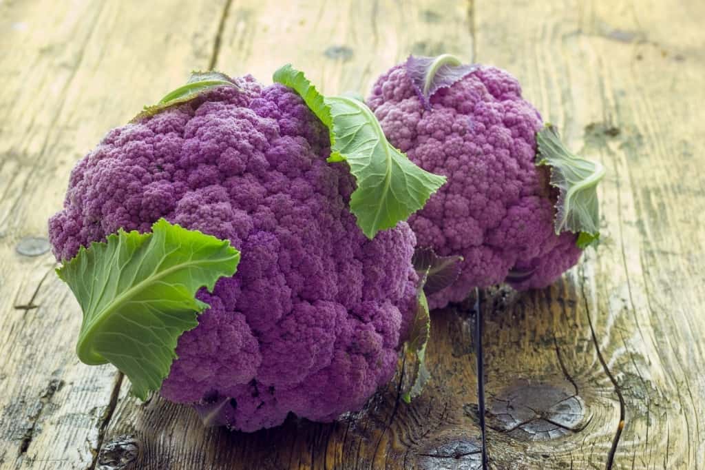 Purple cauliflower