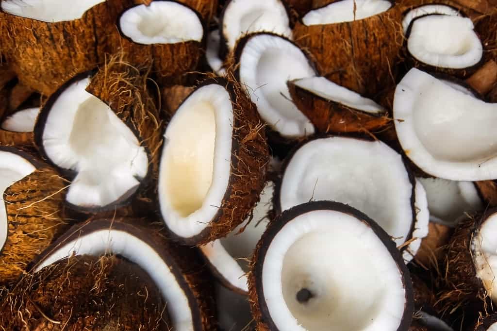 Coconuts cut