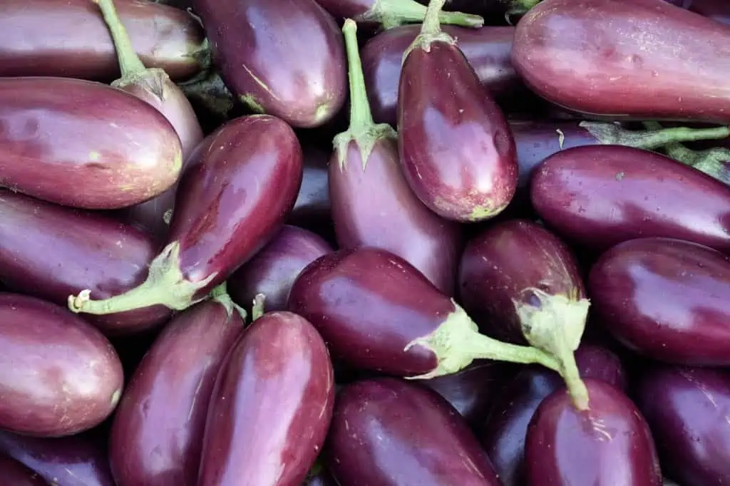 Eggplants