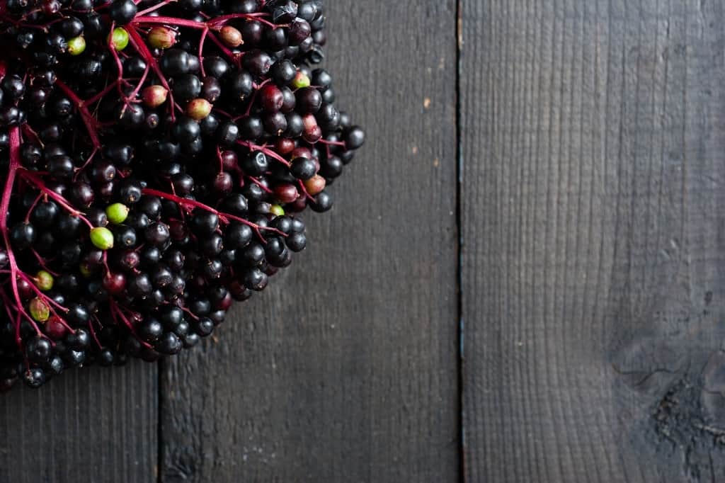 Elderberries