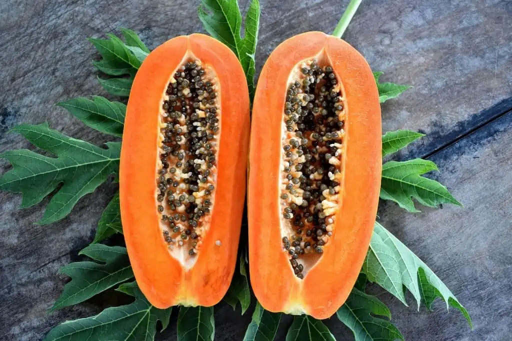 Papaya fruit