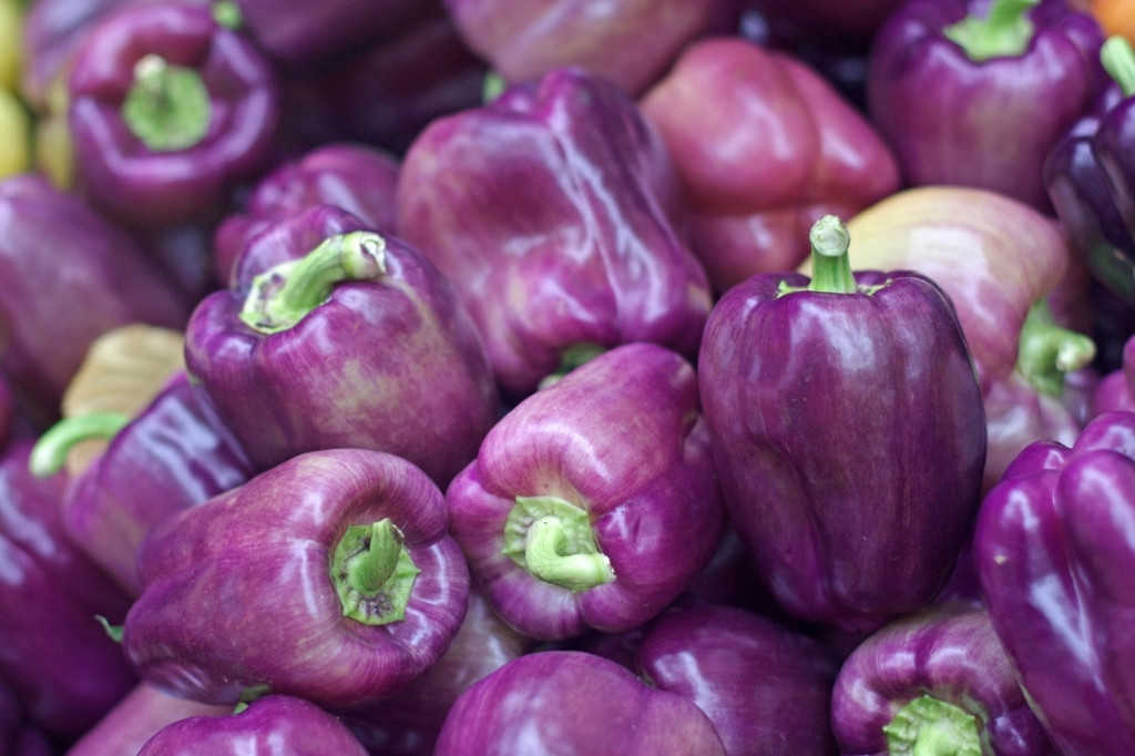 Purple bell peppers