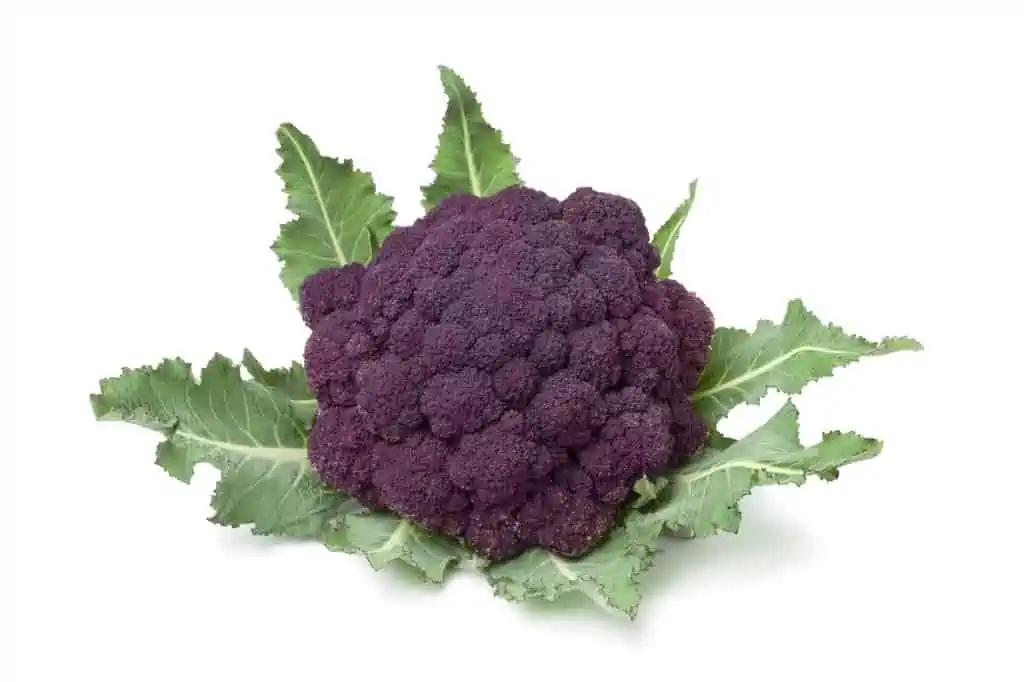 Purple broccoli