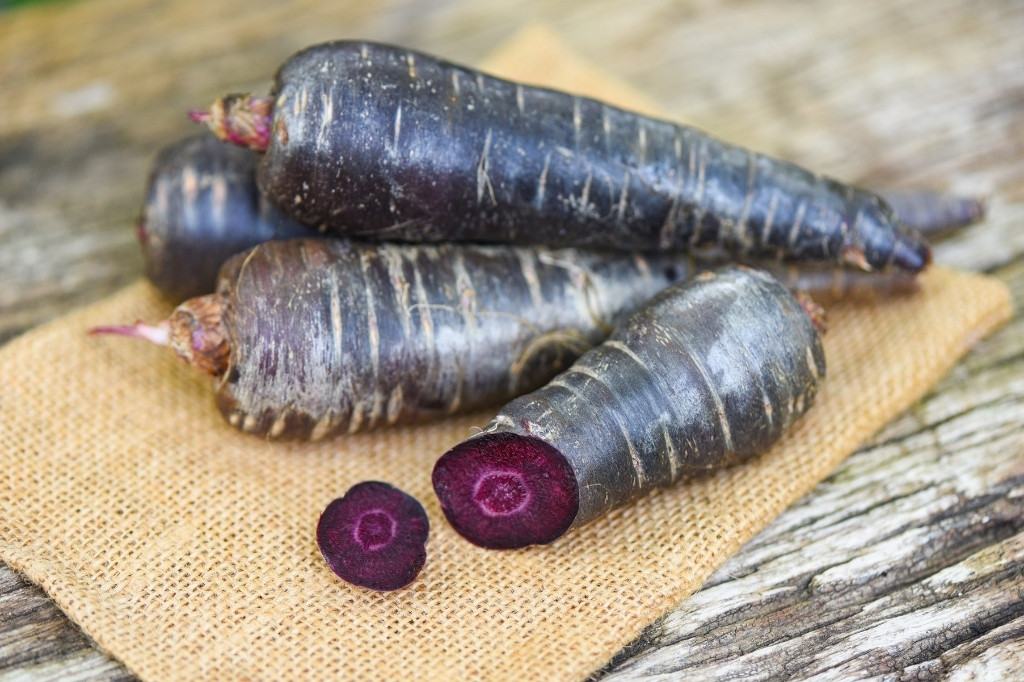 Purple carrots