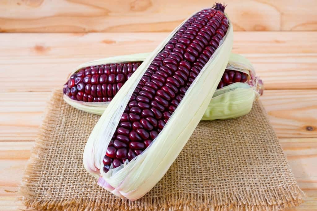 Purple corn