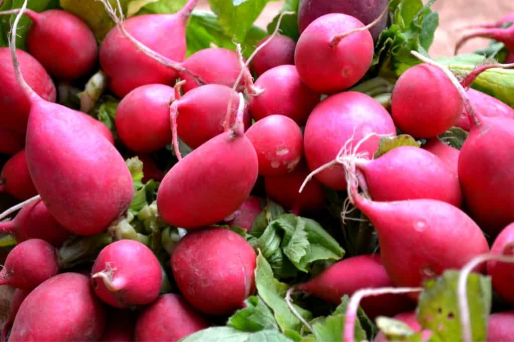 pink radish