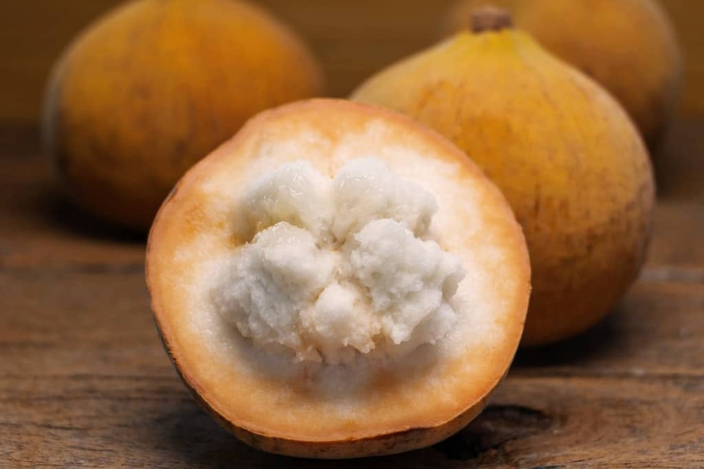 Santol fruit