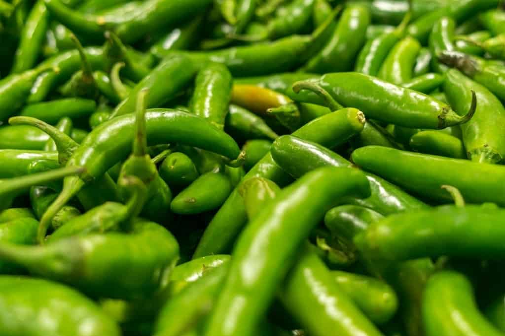 Serrano peppers