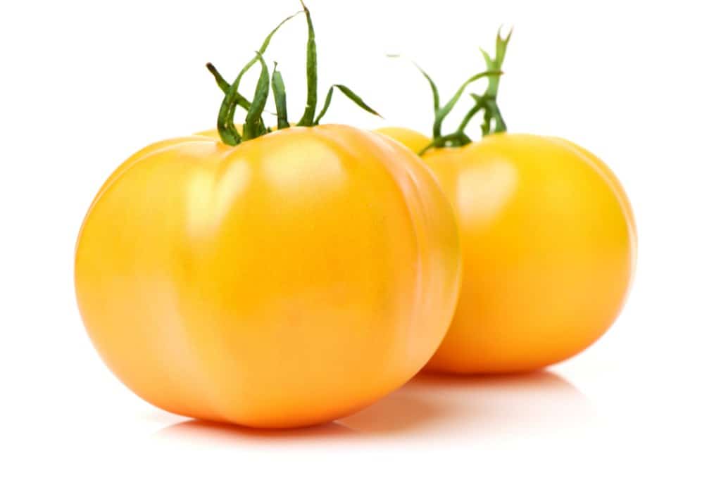 Yellow tomatoes