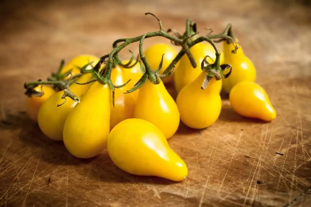 Yellow pear tomatoes