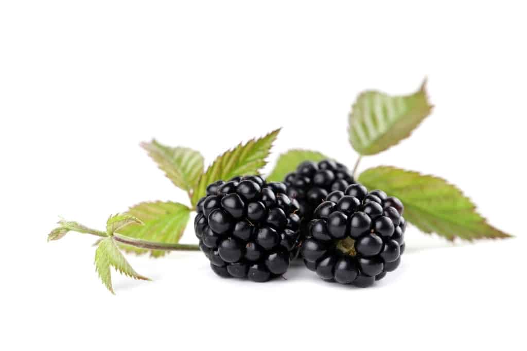 Blackberries