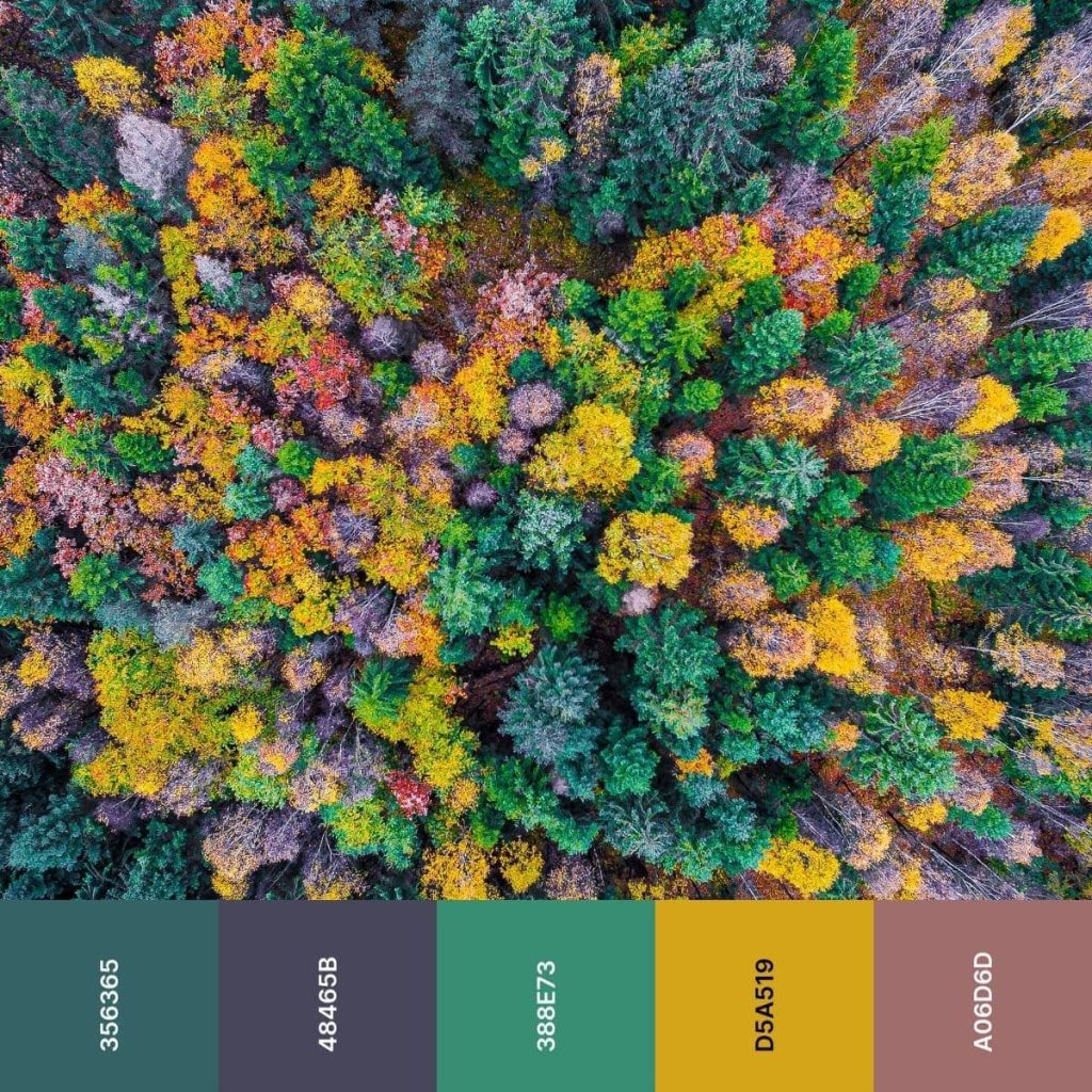 color palette with green