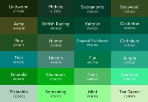 100+ Shades of Green Color with Names, Hex, RGB & CMYK