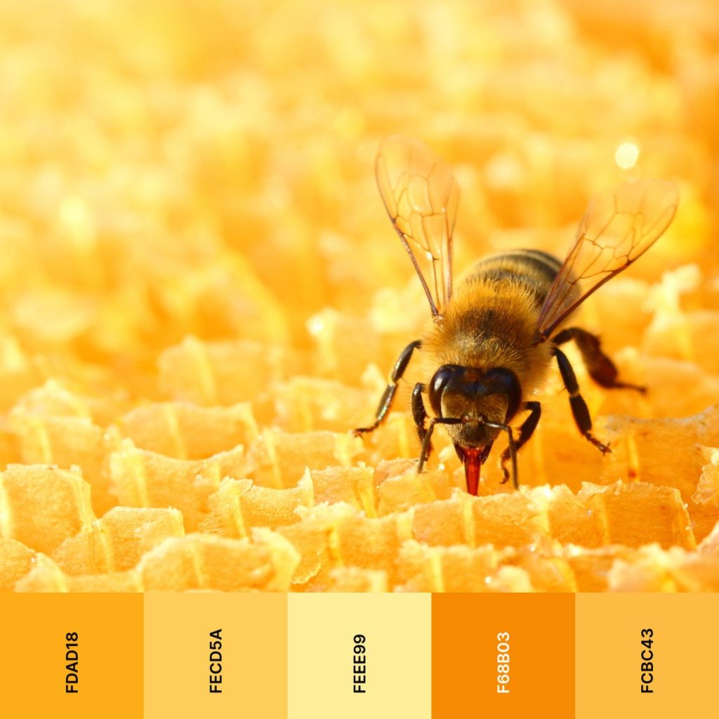 honeycomb color palette yellow