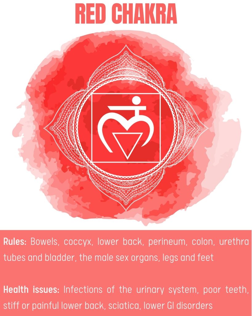 Red chakra - Muladhara - Root chakra