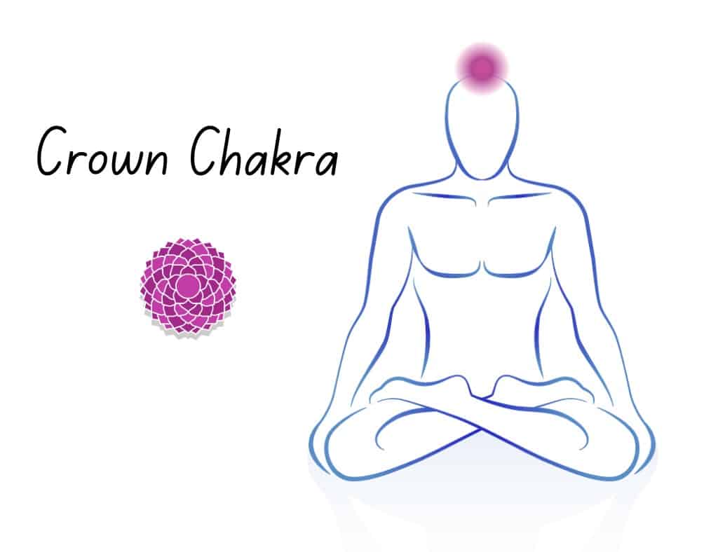 Crown chakra or purple chakra