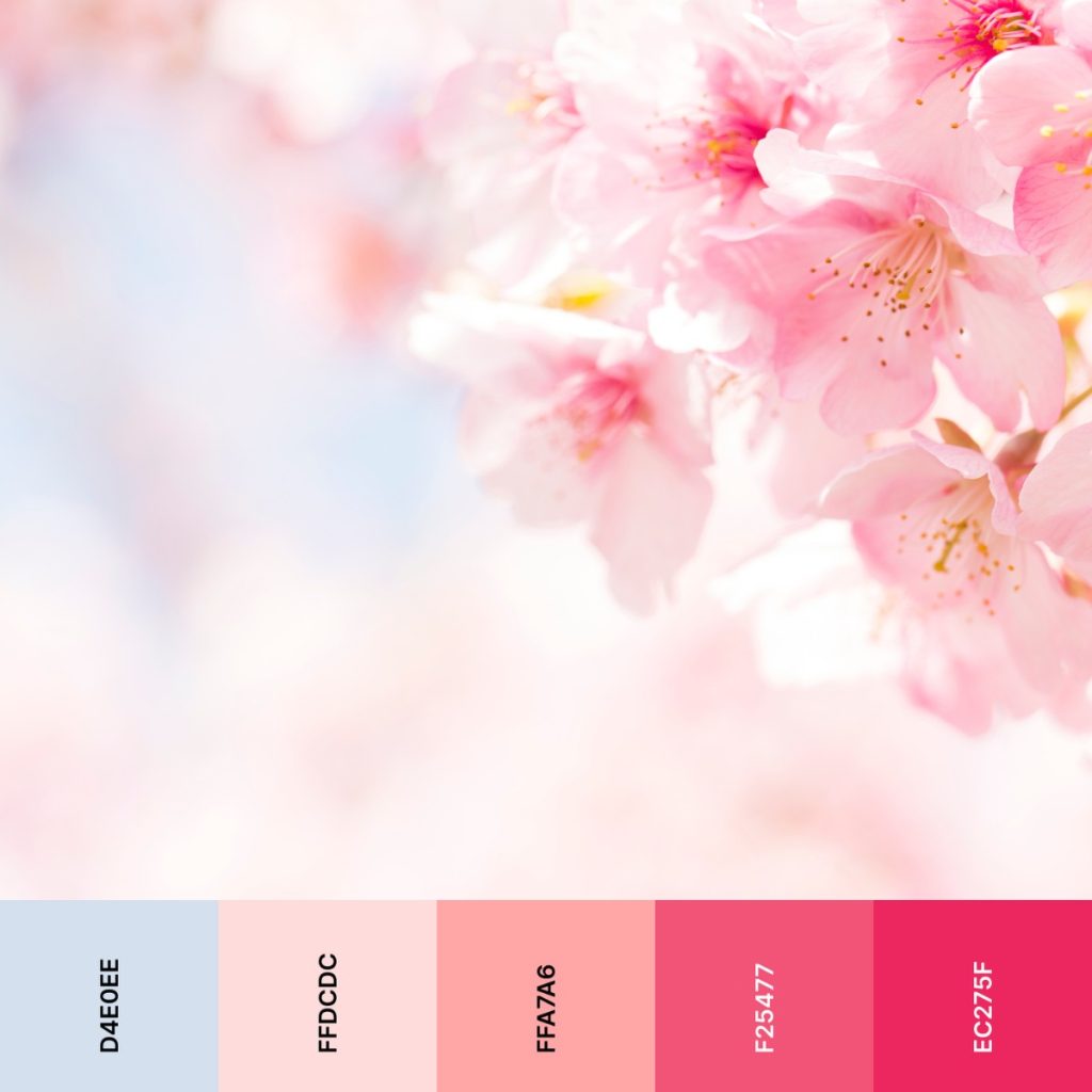 Cherry blossom pink color paleete
