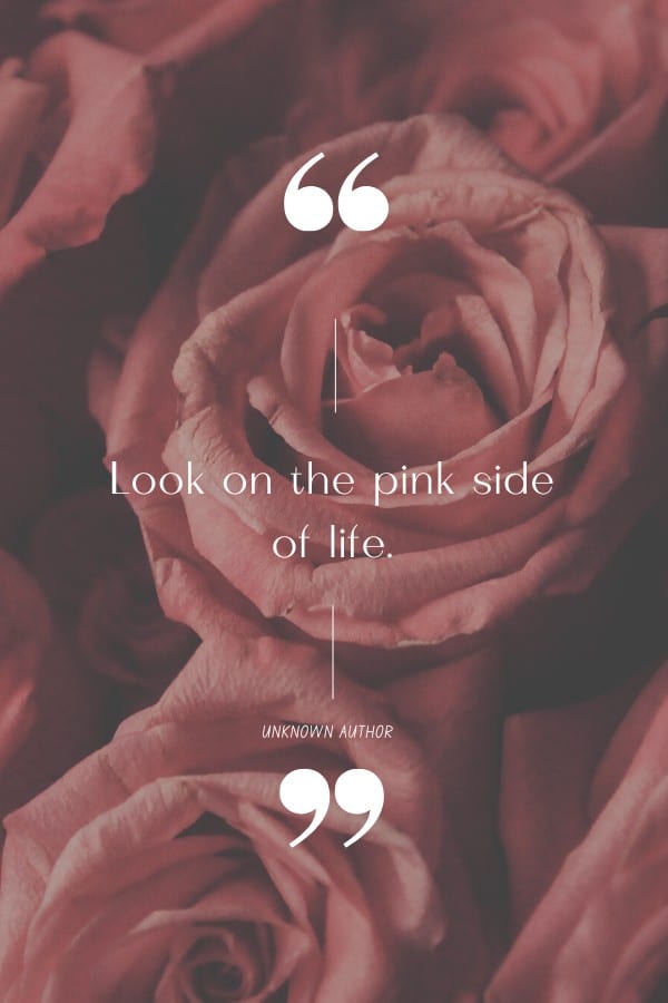 quote about pink
