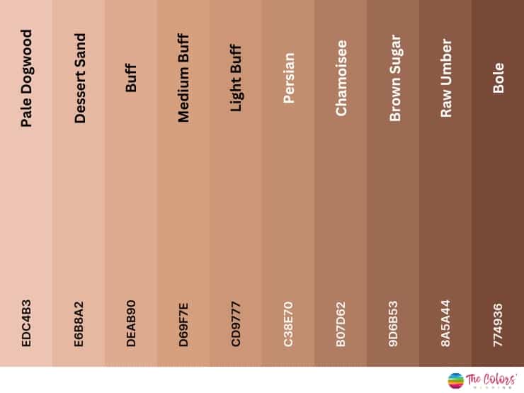 300 Shades of Brown with Names, Hex, RGB, & CMYK Codes