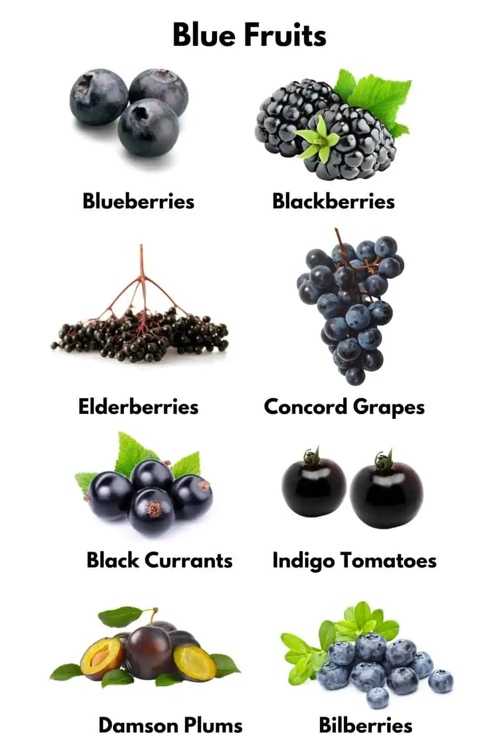 Blue fruits