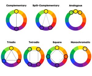 Color Harmony: Definition, Types, Schemes, And Examples