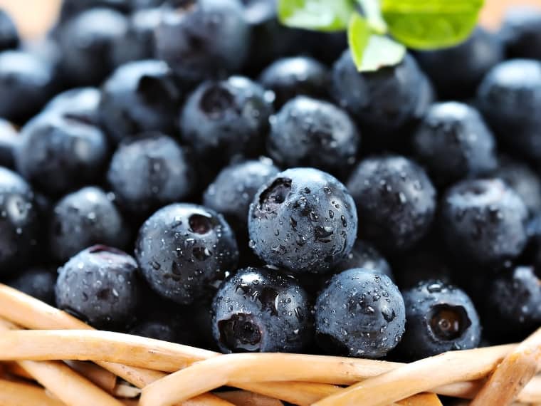 dark blue black currants