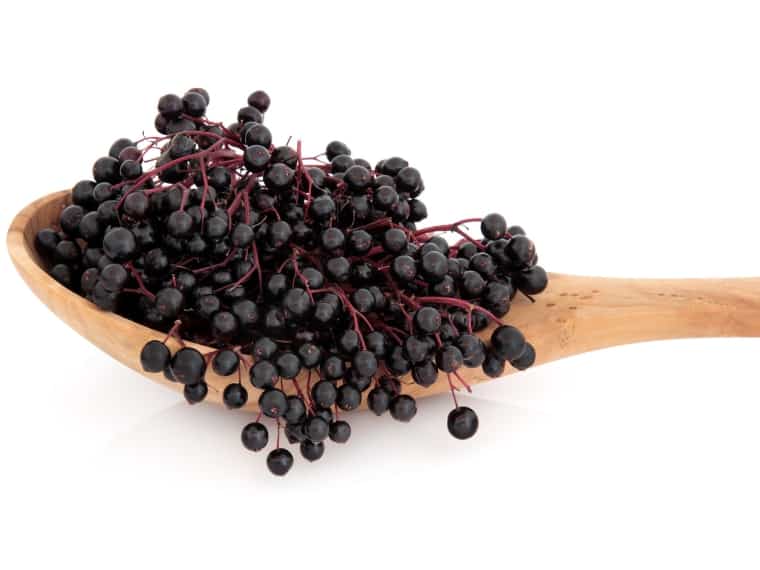 Elderberries