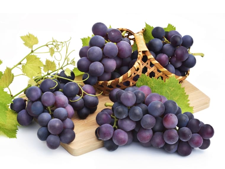 Purple grapes