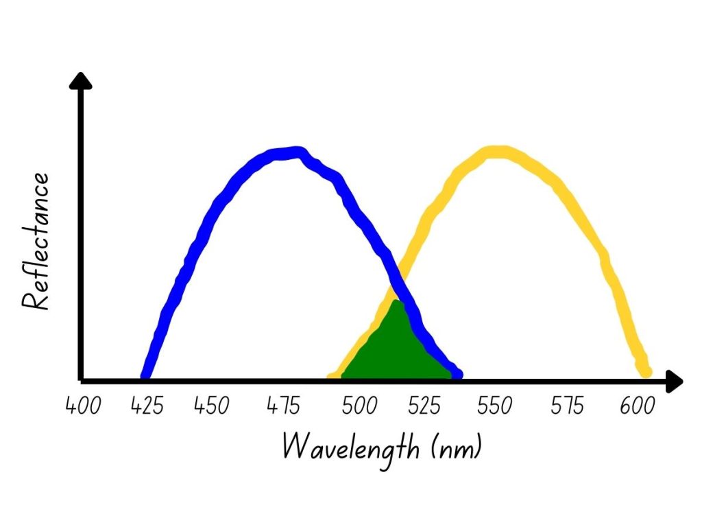 Why Do Blue and Yellow Make Green?