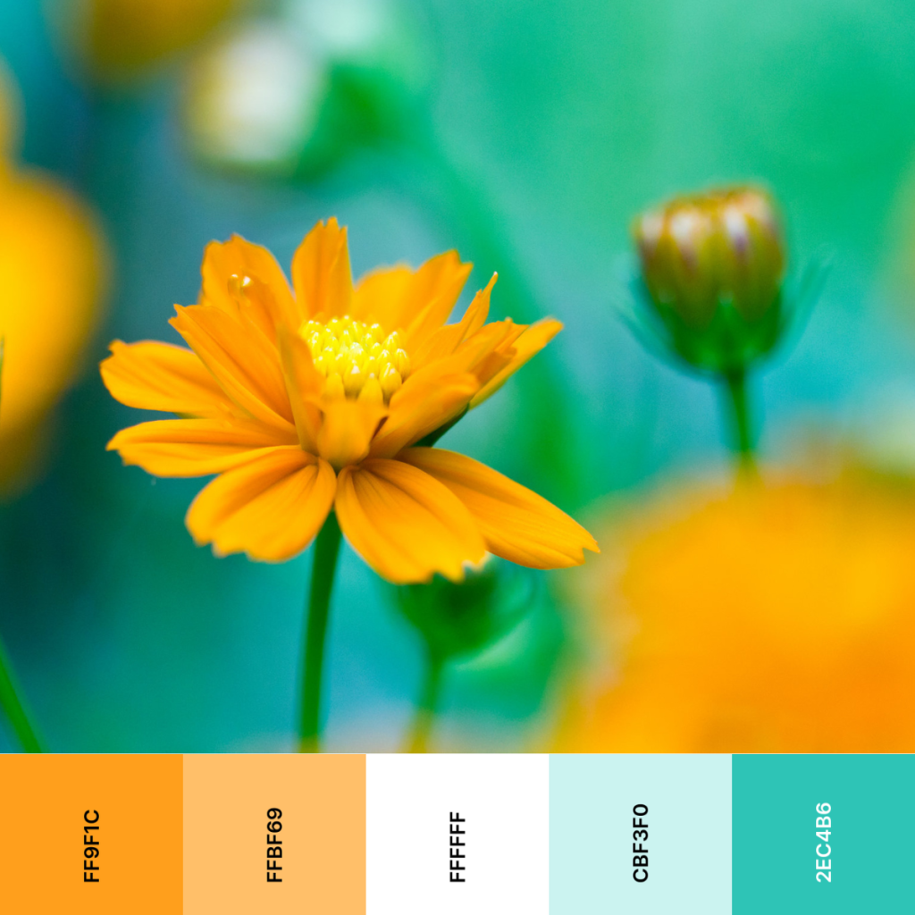 orange, yellow and teal color palette