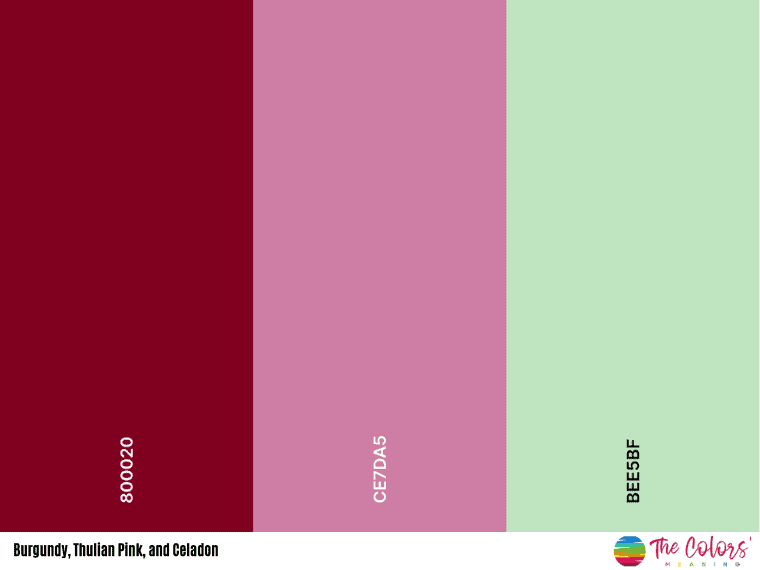 Thulian Pink, Celadon, and Burgundy color palette