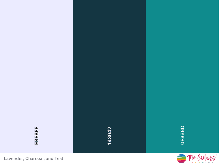 Lavender and charcoal color palette