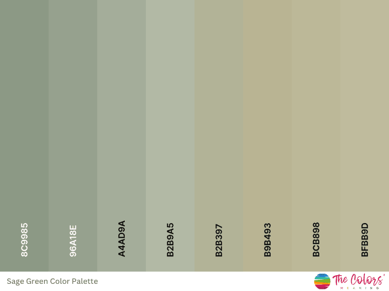 Sage Green color palette