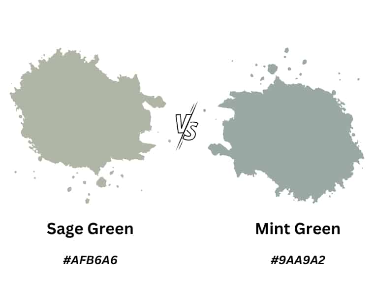 Sage green vs Mint Green