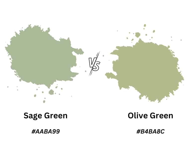 Sage versus Olive Green