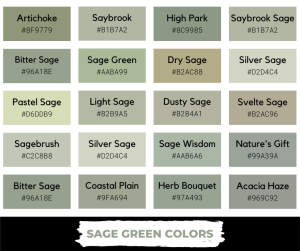 Sage Green Color: Meaning, Shades, and Color Codes