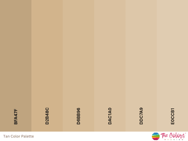 Tan Color: Meaning, Shades, and Color Codes