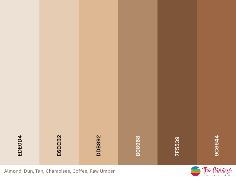 light brown color palette