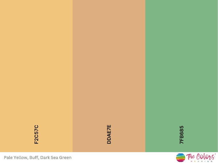 brown color palette with yellow and sea green