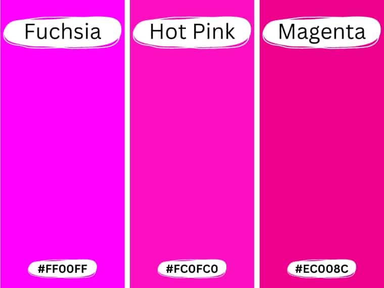 Magenta vs Fuchsia vs Hot pink