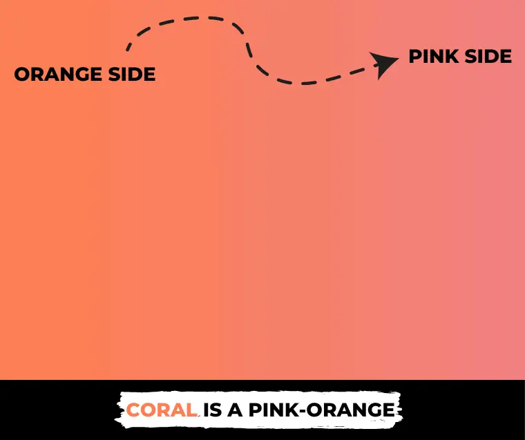 What color is coral?