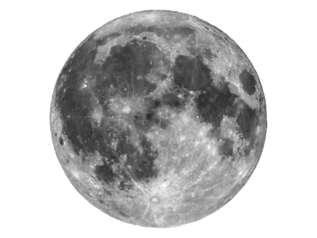 The moon on white background