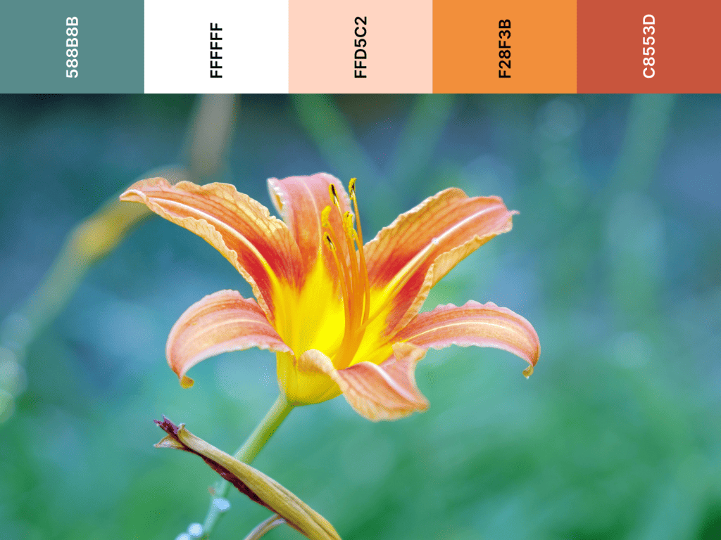 orange, peach and teal color palette