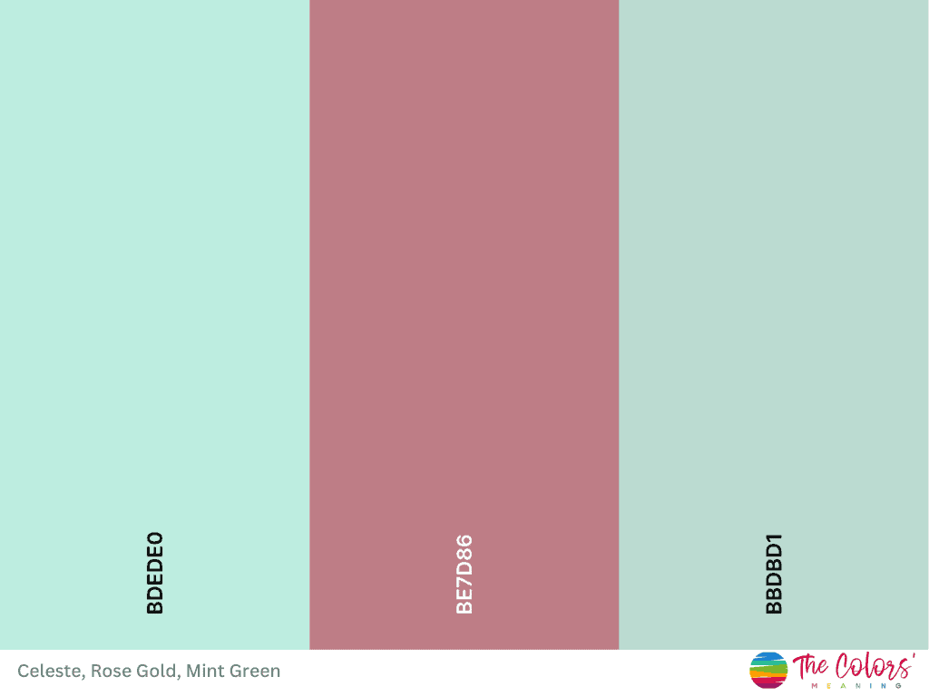 Color meanings, Color checker, Minted art