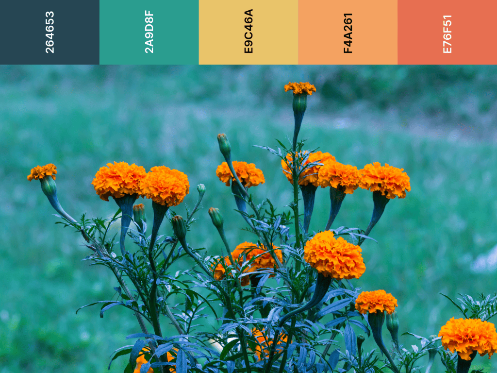 yellow orange and teal color palette