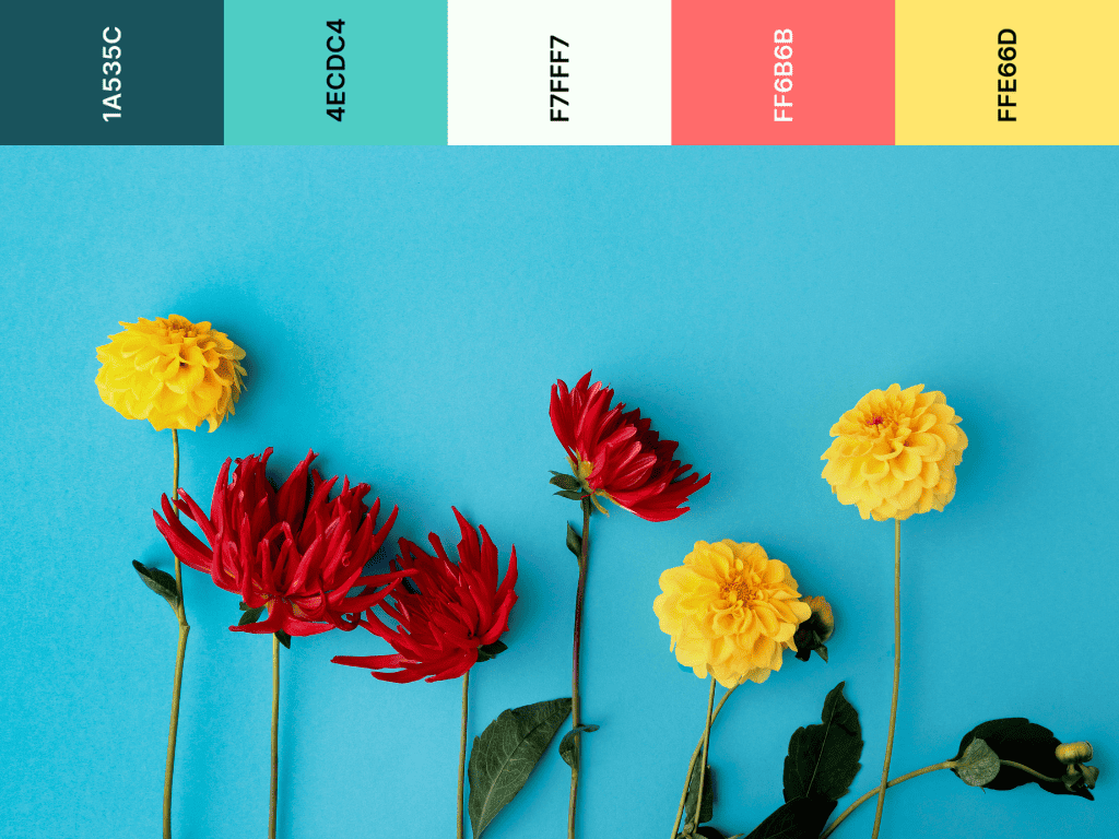 red, pink and teal color palette