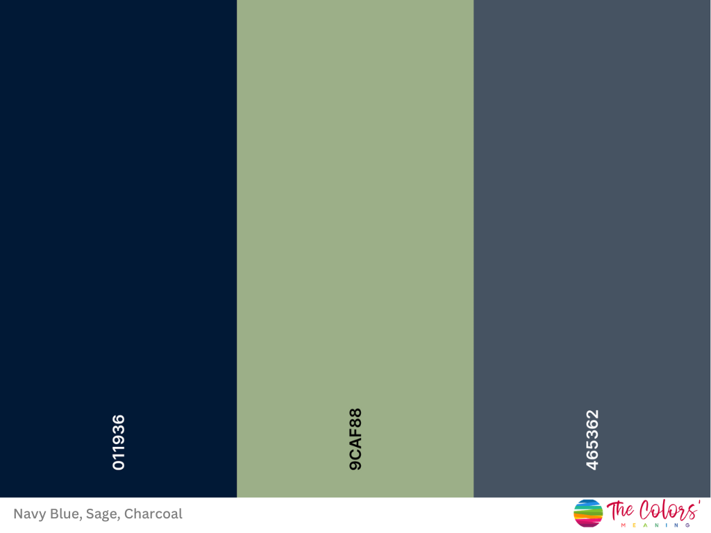 sage and navy blue color palette